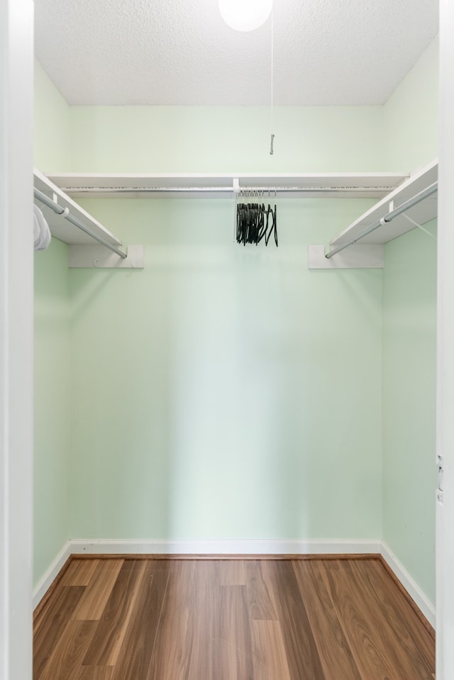 walk in closet with wood-type flooring