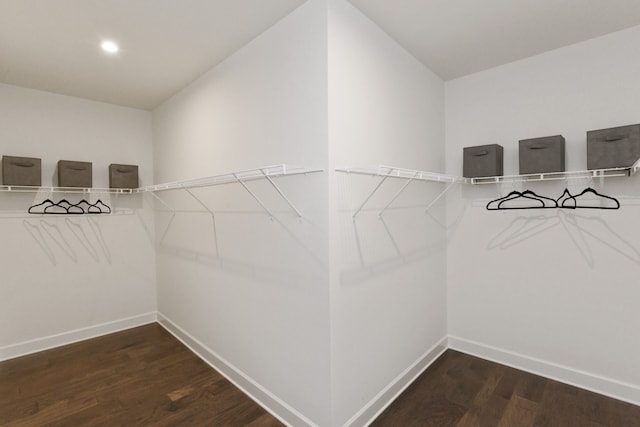 spacious closet featuring wood-type flooring