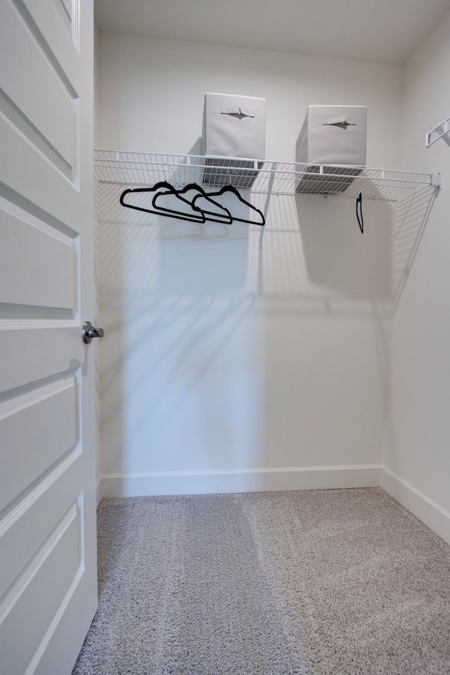 spacious closet with carpet