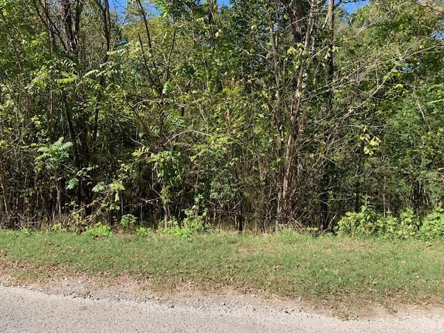 Listing photo 2 for 0 Coconut Ridge Rd, Smithville TN 37166