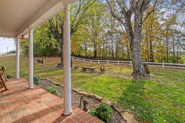 view of yard featuring a patio