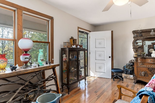 office featuring light hardwood / wood-style flooring and ceiling fan