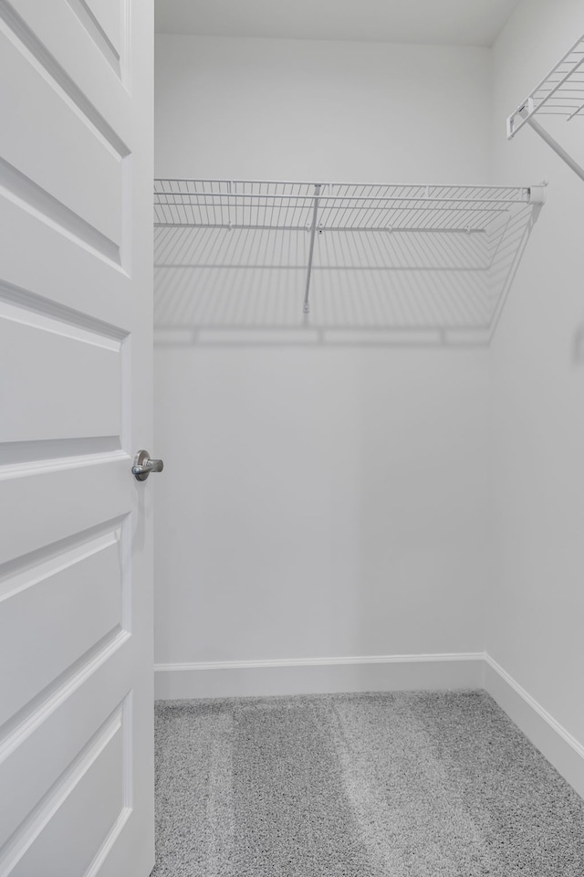 spacious closet with carpet flooring