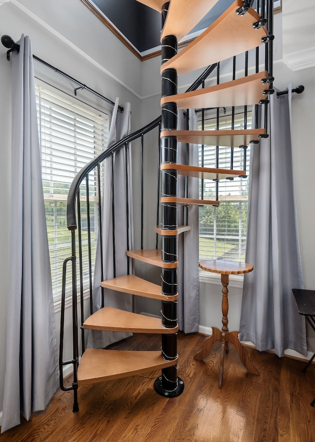 staircase with hardwood / wood-style floors