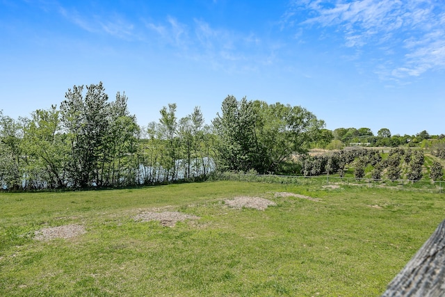 view of yard featuring a rural view