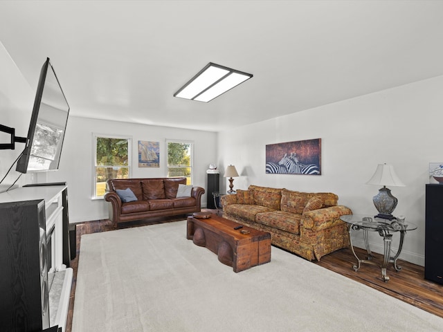 living room featuring wood-type flooring