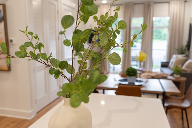 dining area with wood-type flooring and plenty of natural light