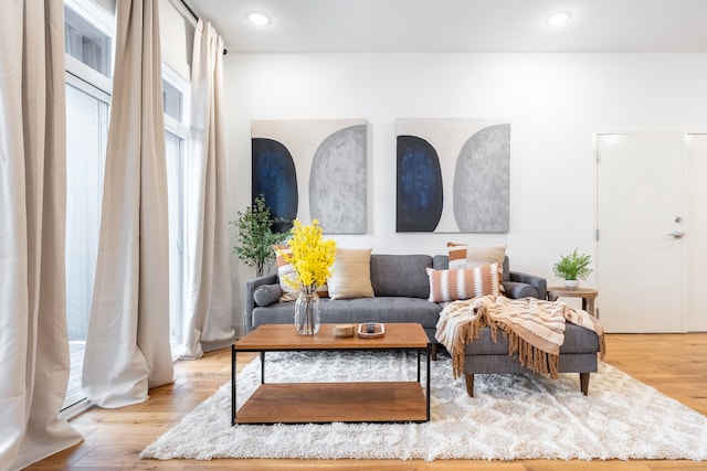 living area featuring light hardwood / wood-style flooring