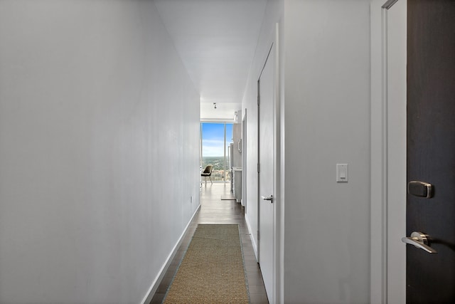 hallway featuring hardwood / wood-style floors and a wall of windows