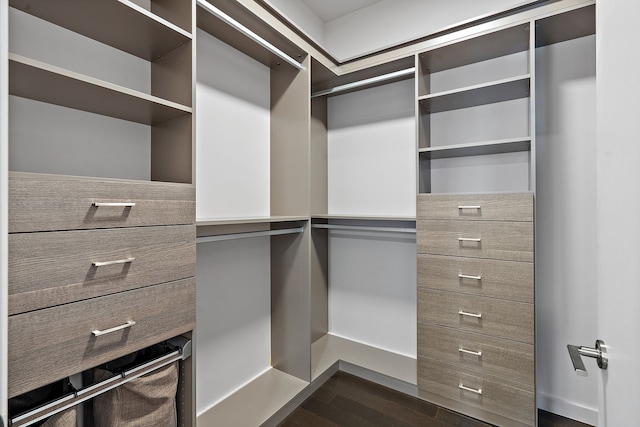 spacious closet with dark hardwood / wood-style flooring