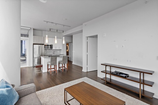 living room featuring dark wood-type flooring and rail lighting