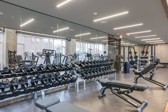 workout area featuring a wealth of natural light