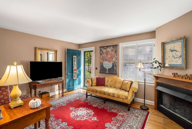 living room with hardwood / wood-style flooring