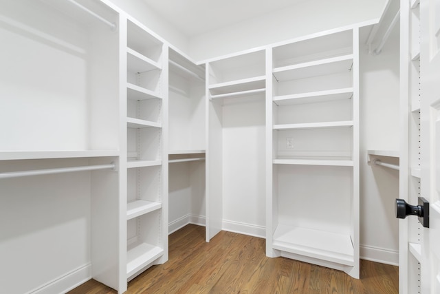 spacious closet with hardwood / wood-style flooring