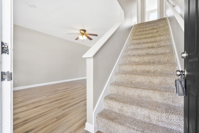 stairway with ceiling fan and wood-type flooring