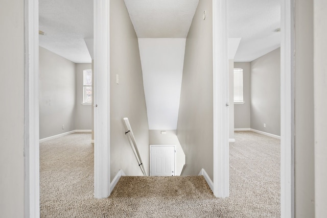 corridor featuring carpet and a textured ceiling