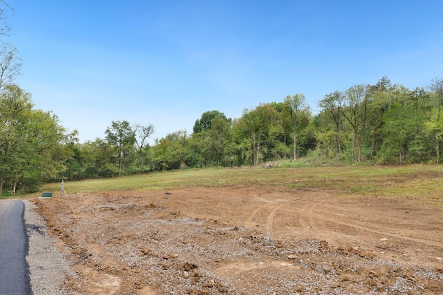 6857 Cross Keys Rd, College Grove, TN 37046 - photo 5