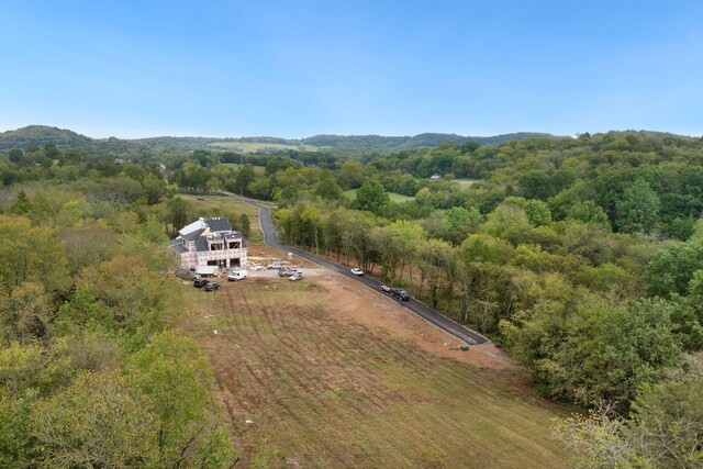 6857 Cross Keys Rd, College Grove, TN 37046 - photo 23