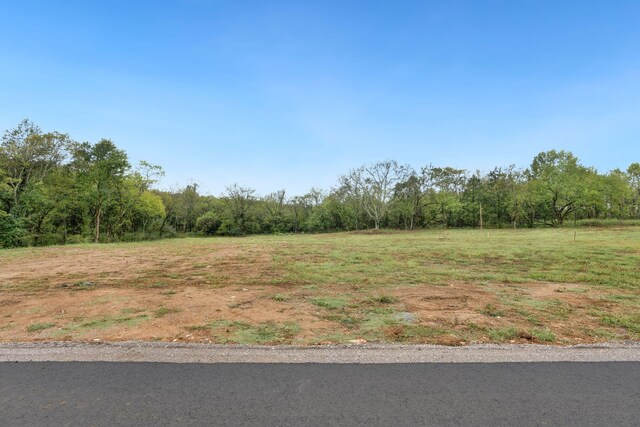 6857 Cross Keys Rd, College Grove, TN 37046 - photo 3