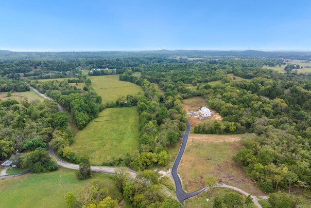 6857 Cross Keys Rd, College Grove, TN 37046 - photo 13