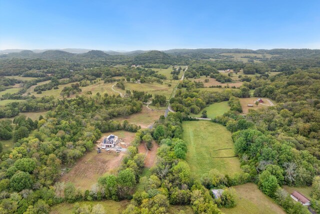 6857 Cross Keys Rd, College Grove, TN 37046 - photo 17