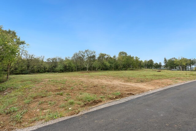 6857 Cross Keys Rd, College Grove, TN 37046 - photo 4