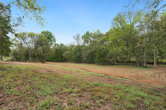6857 Cross Keys Rd, College Grove, TN 37046 - photo 8