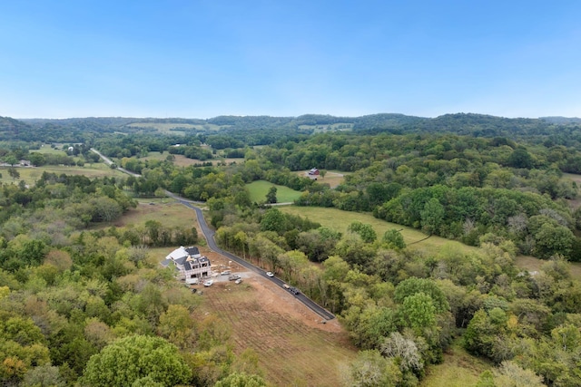 6857 Cross Keys Rd, College Grove, TN 37046 - photo 19