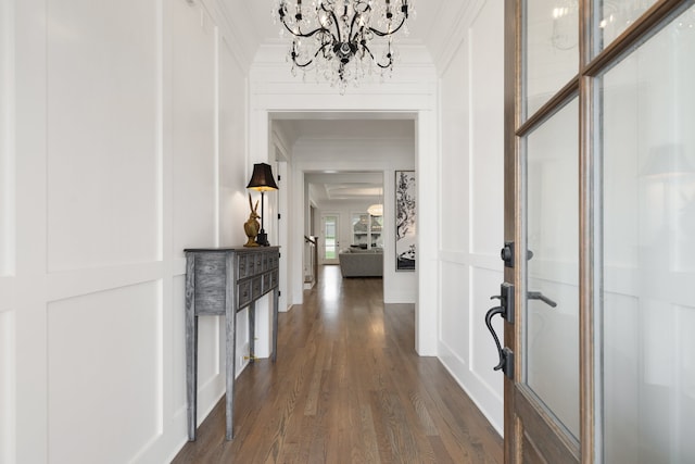 corridor featuring a notable chandelier, dark hardwood / wood-style floors, and crown molding