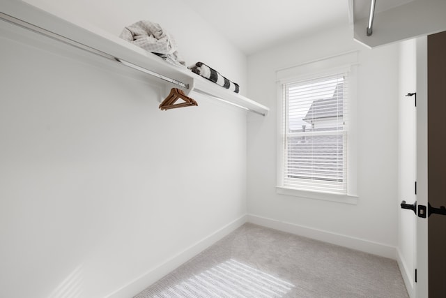 walk in closet with carpet flooring