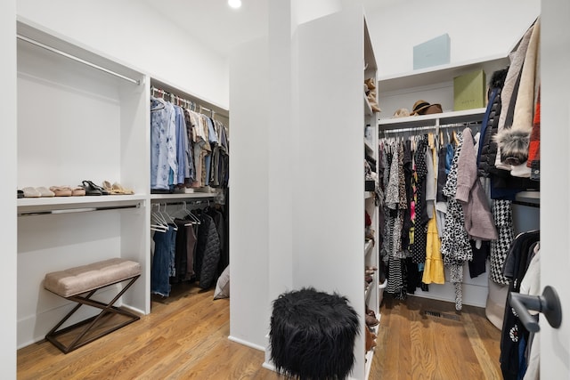 spacious closet featuring wood-type flooring