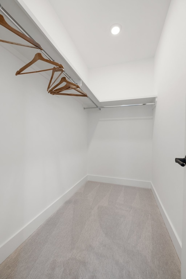 spacious closet featuring light colored carpet