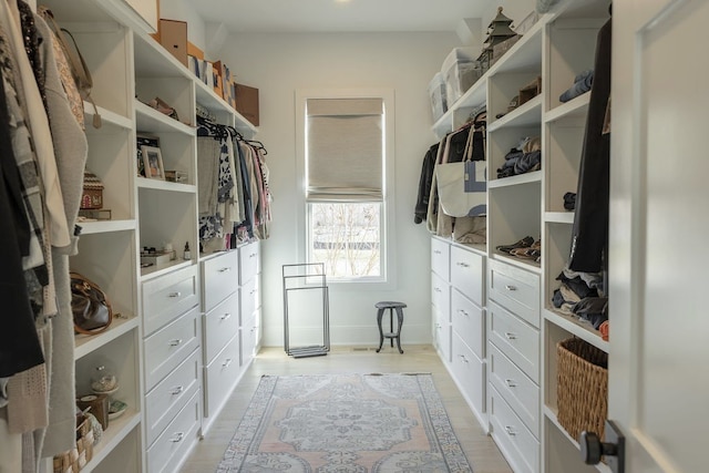 walk in closet featuring light wood-style flooring