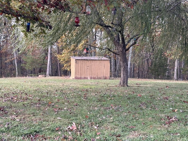 view of yard featuring a shed