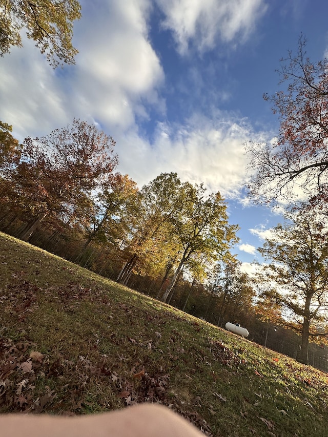 view of nature