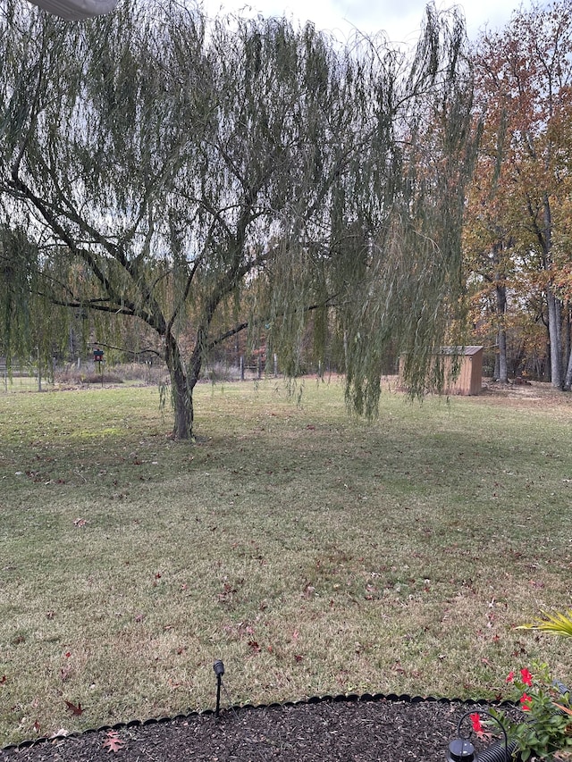 view of yard featuring a shed