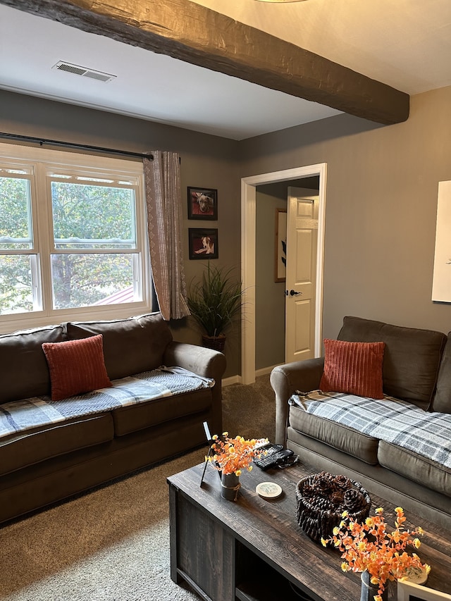 living room featuring carpet, a healthy amount of sunlight, and beam ceiling