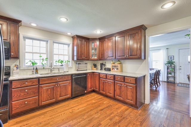 kitchen featuring dishwasher, light wood-type flooring, a wealth of natural light, and sink