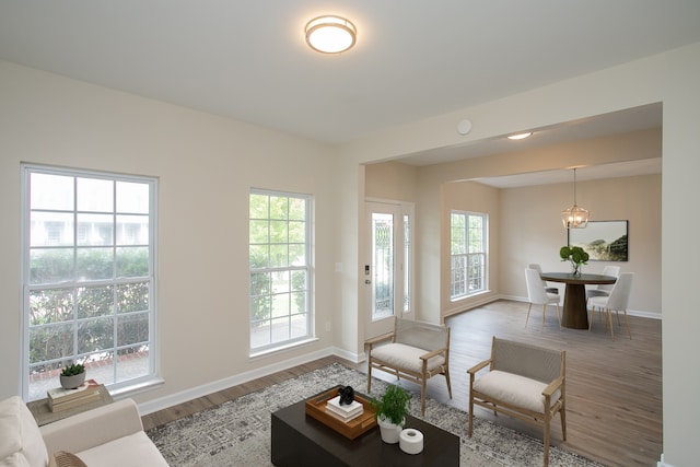 living room featuring wood-type flooring and a healthy amount of sunlight