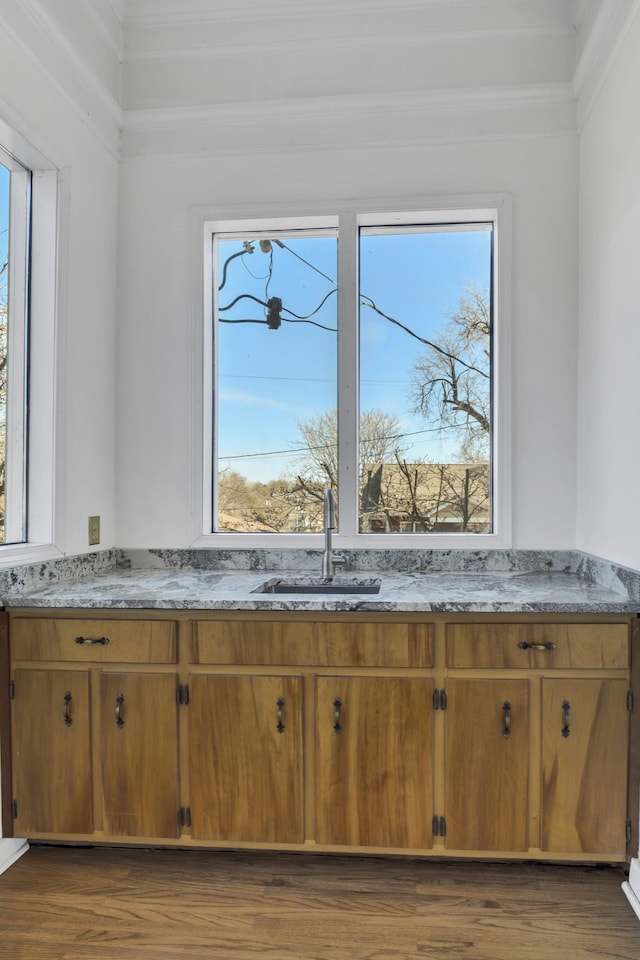 kitchen featuring dark wood-type flooring, crown molding, and sink