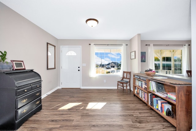 foyer featuring dark hardwood / wood-style floors