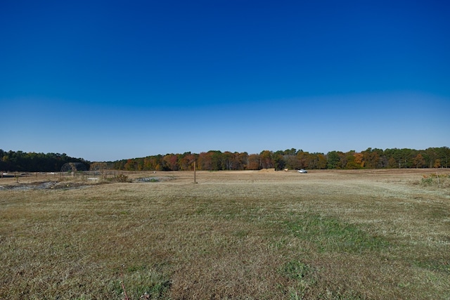 view of yard with a rural view