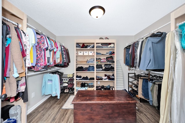 walk in closet featuring hardwood / wood-style floors