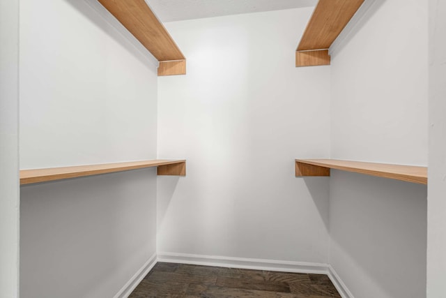 walk in closet with dark wood-type flooring