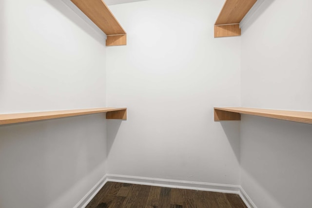 walk in closet with dark hardwood / wood-style floors