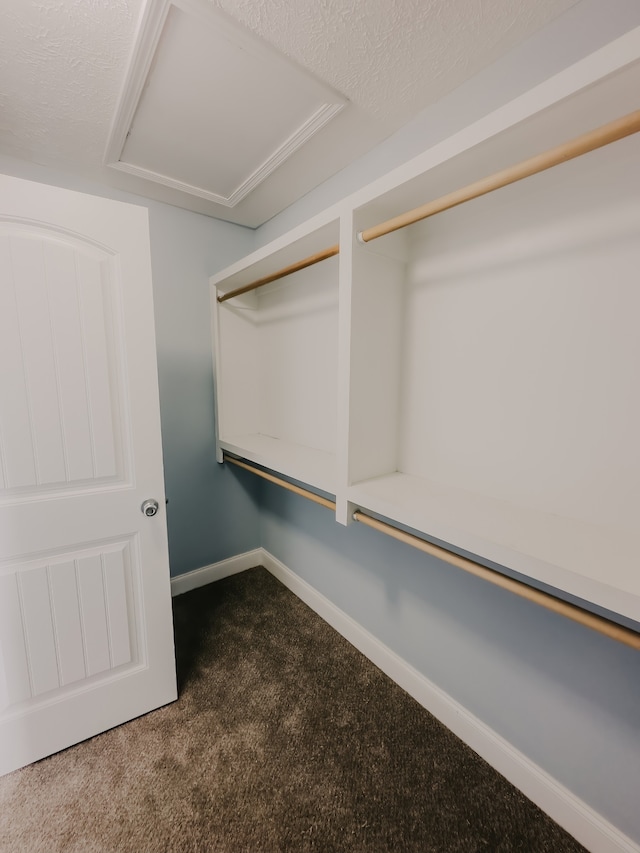 spacious closet with carpet