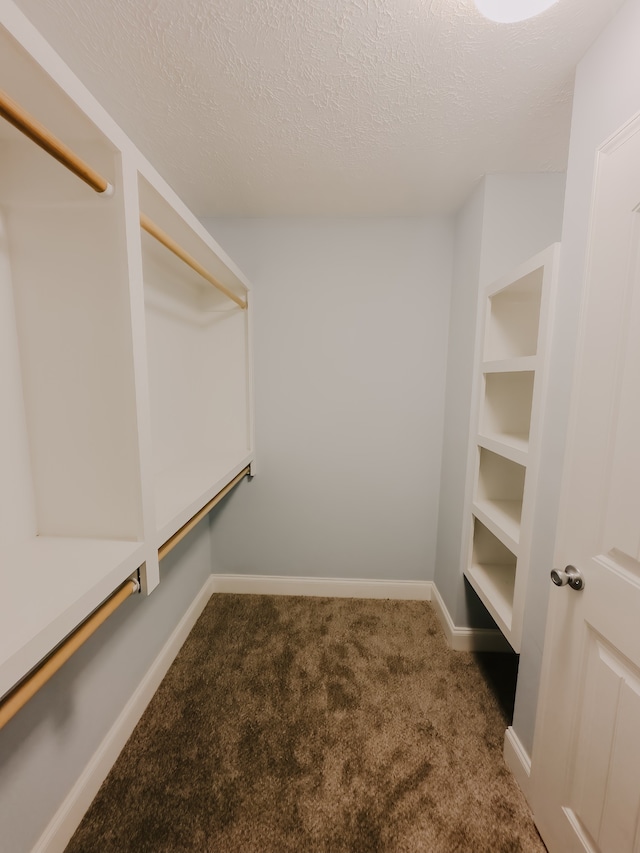 walk in closet featuring carpet floors