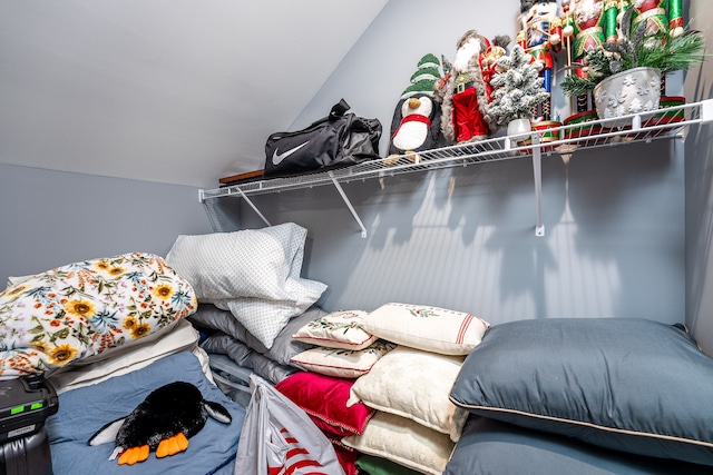 spacious closet featuring lofted ceiling