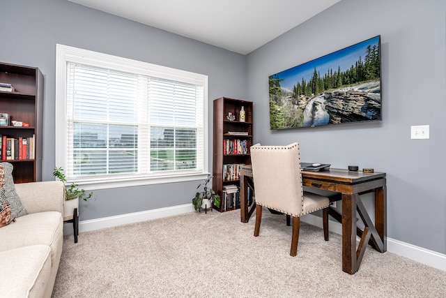 home office with light carpet