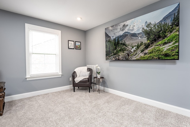 sitting room with carpet floors